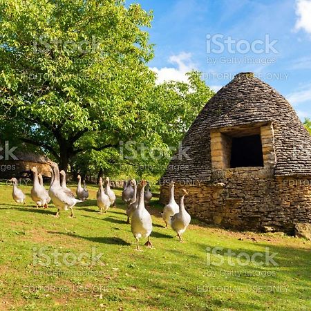 Studio Fontaine D'Amour Sarlat-la-Canéda Eksteriør billede